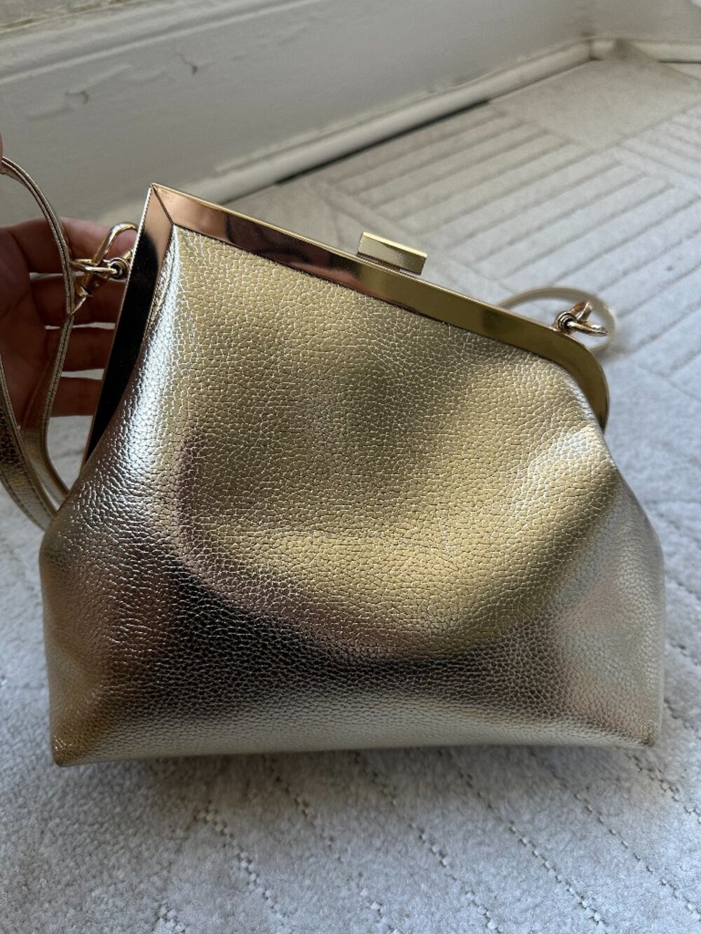 Metallic Gold Frame Crossbody Bag Adjustable Strap Evening Clutch